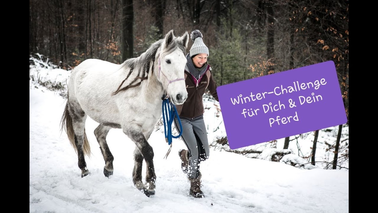Deine Winter-Challenge (1) - Training für Dein Pferd und Dich im Winter