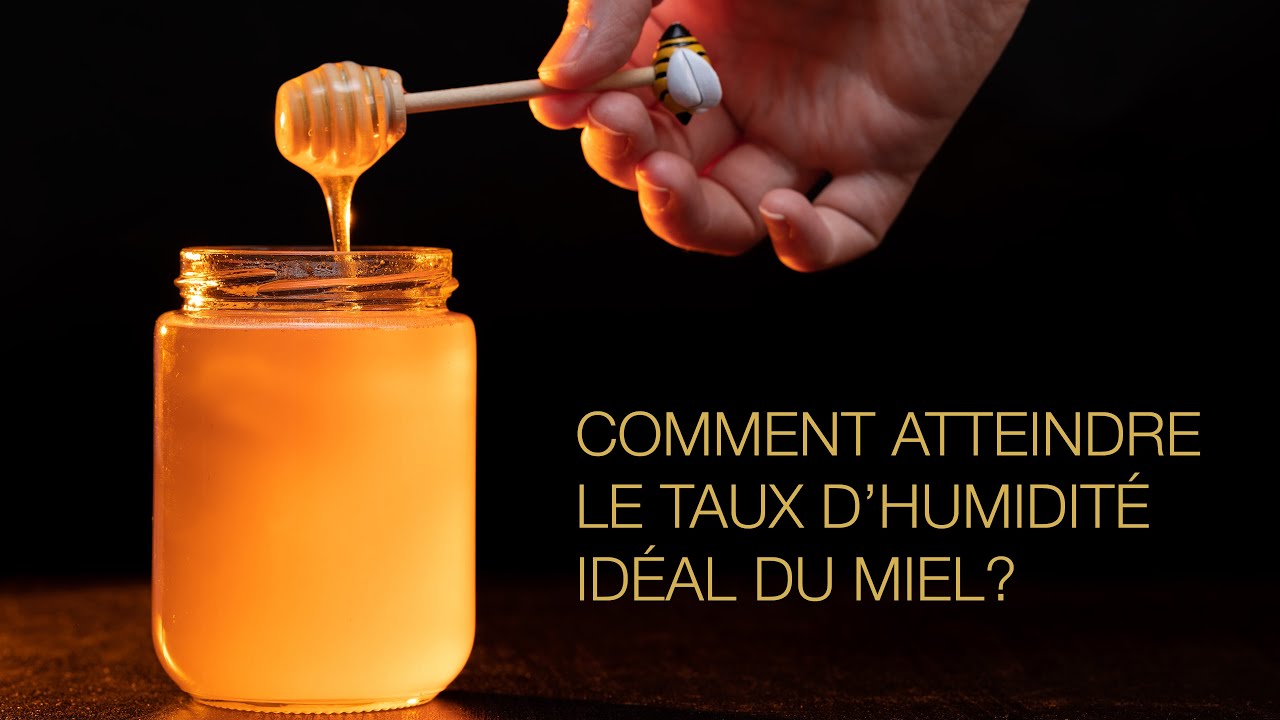 Comment atteindre le taux d'humidité idéal du miel pour sa bonne conservation sans fermentation?