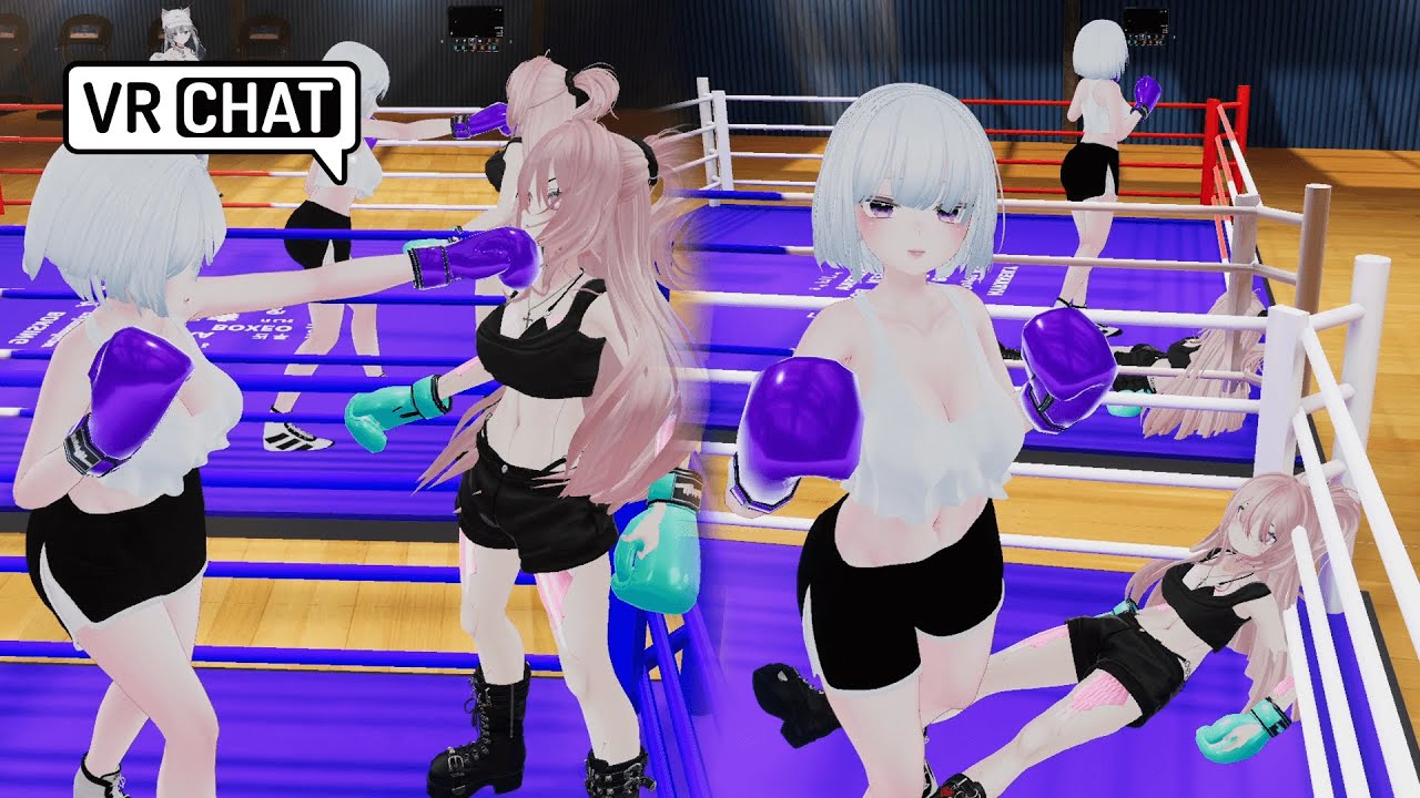 Hard pounding boxers raging in style VRchat BOXING