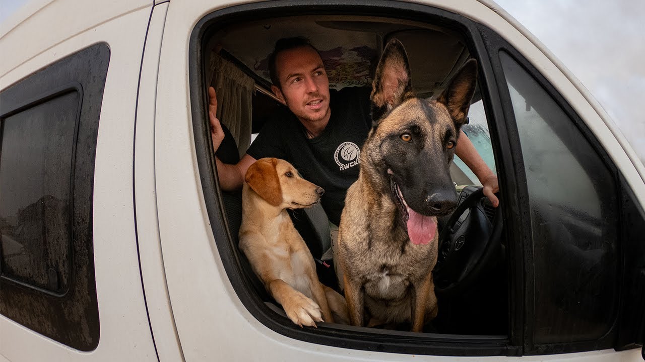 Driving Through Morocco With 2 Dogs // Van Life Africa [S04E02]