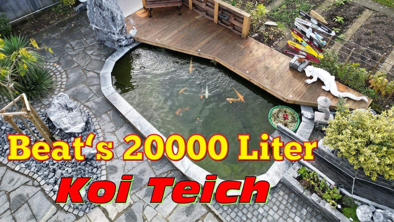 Schweiz 🇨🇭 Tour mit Koi Center Seeland! Beat&lsquo;s 20000 Liter Koi Teich!