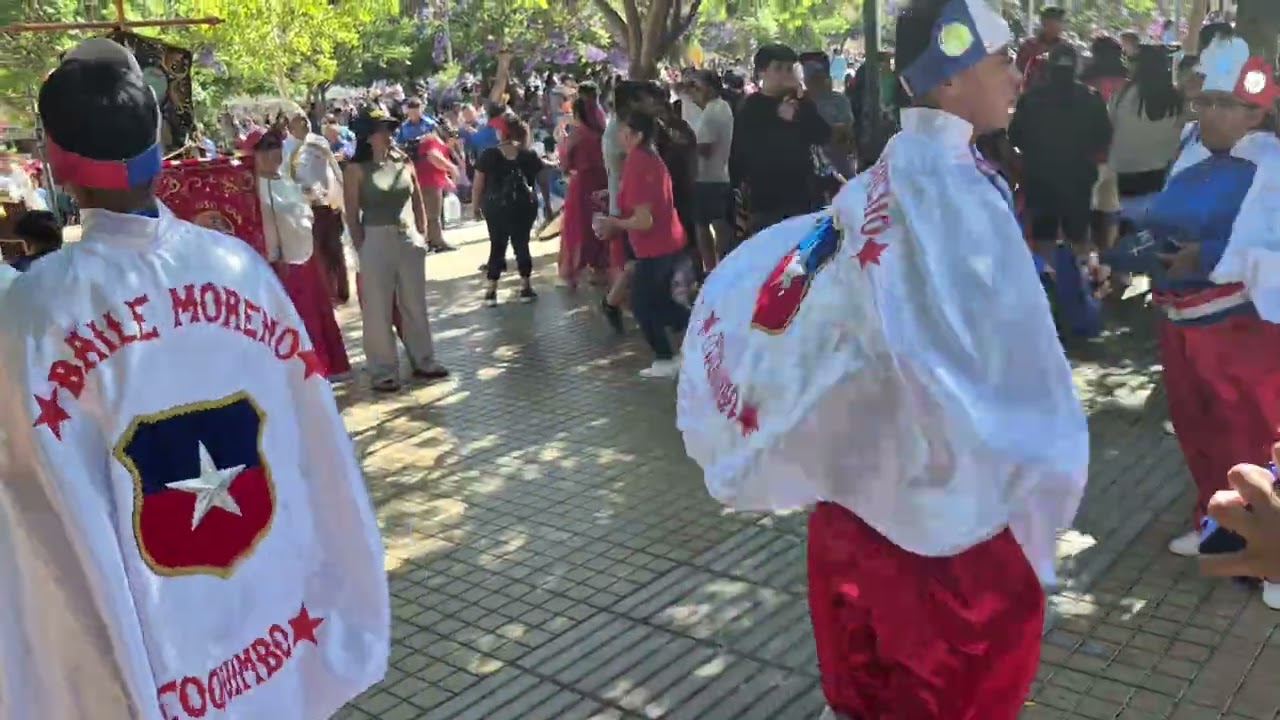Morenos Chilenos de Coquimbo - Andacollo 2025