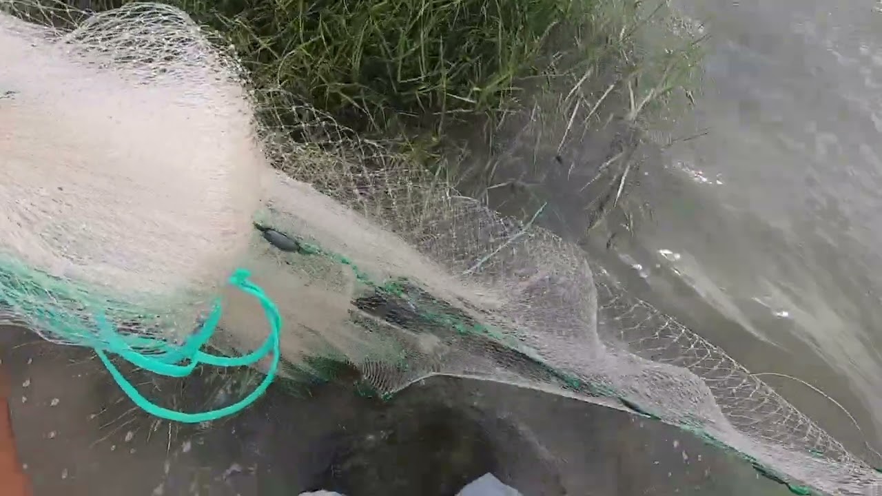 Red Drum Fishing at Oregon Inlet