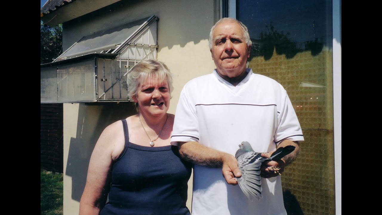 Video 32: Brian Sheppard of Trowbridge: Long Distance Pigeon Racer