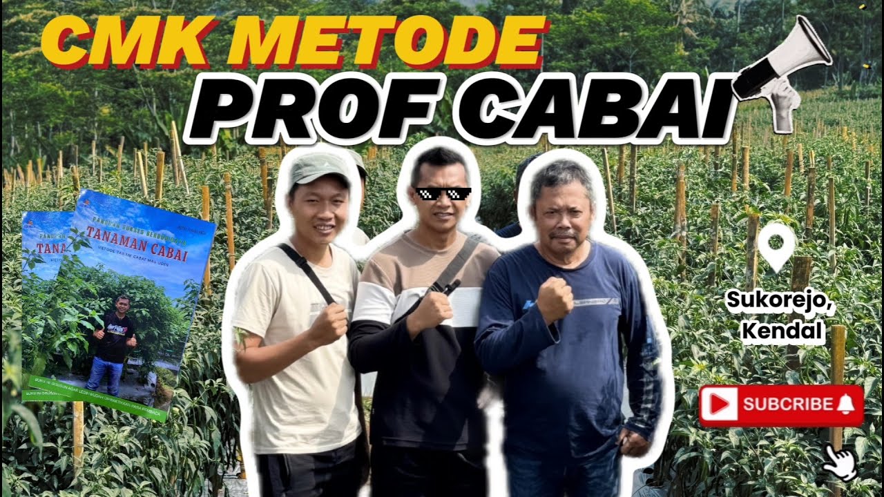 CMK FULL METODE PROFESOR TANAMAN CABAI