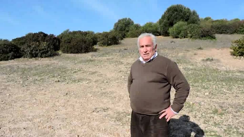 Saludo a los aficionados al reclamo. José Espinosa. Febrero 2015. Parte 3/3