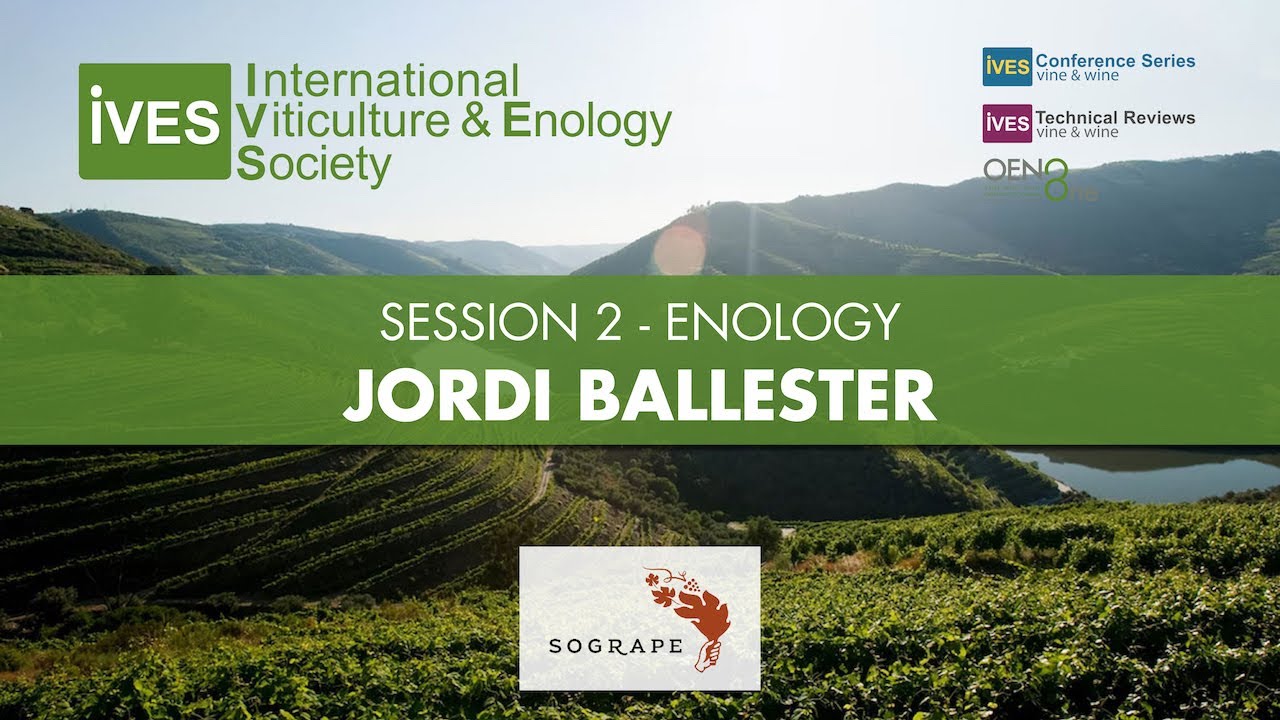 How to make a mineral wine? Producers’ representations vs. scientific data