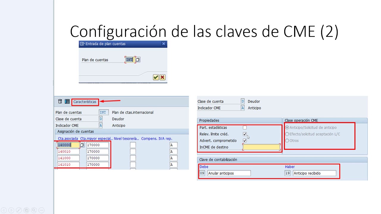 SAP - Cuentas de Mayor Especiales