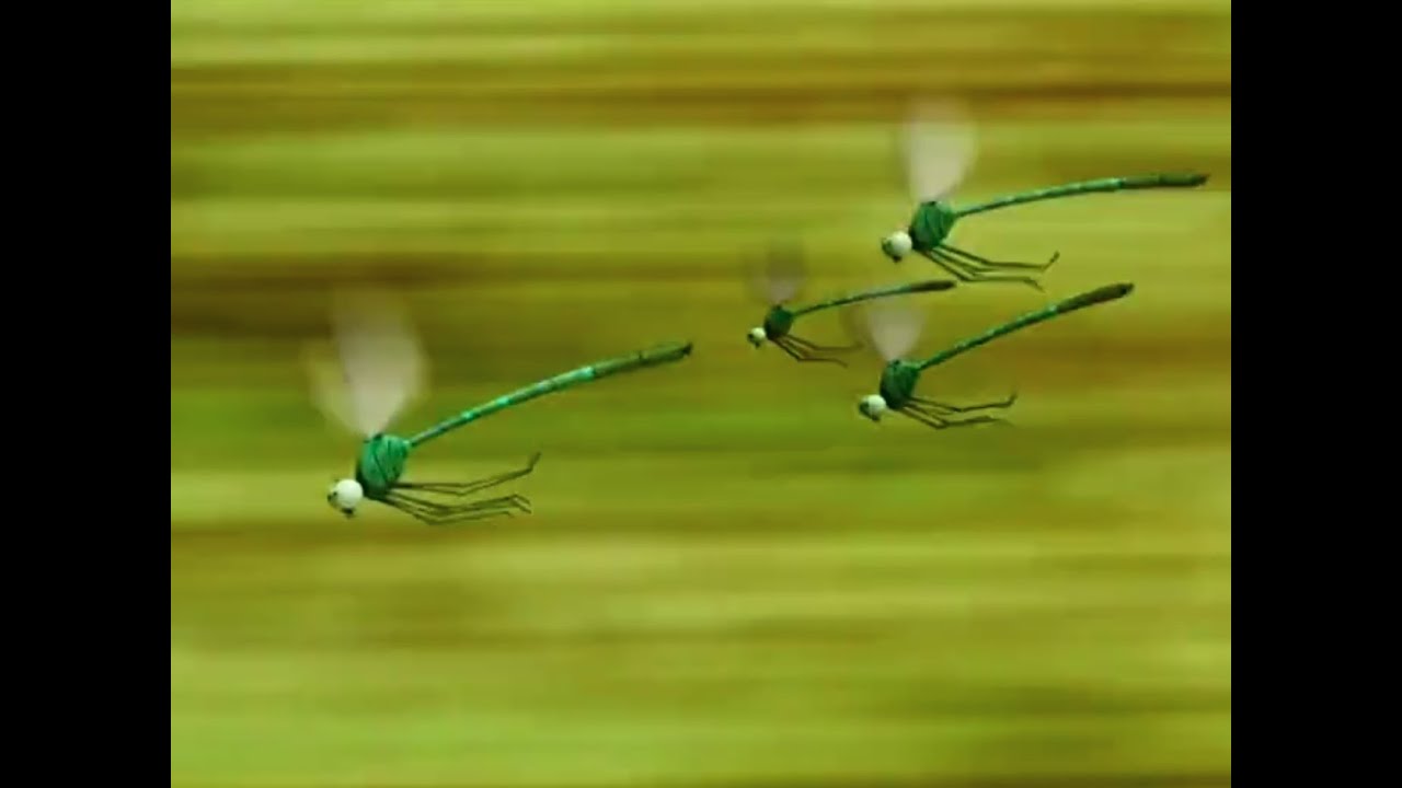 Adventures cute bug cartoon - Minuscule Cartoon 03 - One Hour Compilation --- 🐝🦟🦗 --- Funnys 4 Kids