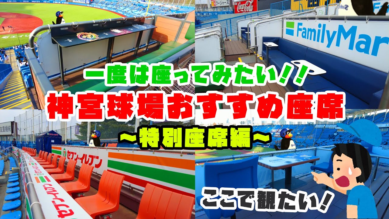 【神宮球場おすすめ座席】主も実は座ったことがない神宮球場の特別席を紹介！