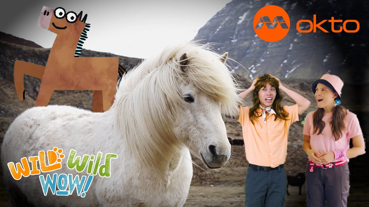 Wild ANIMAL Adventures 🐴 HORSES Manes Are Fun! 🌍| Wild Wild Wow S1E12A | @mediacorpokto