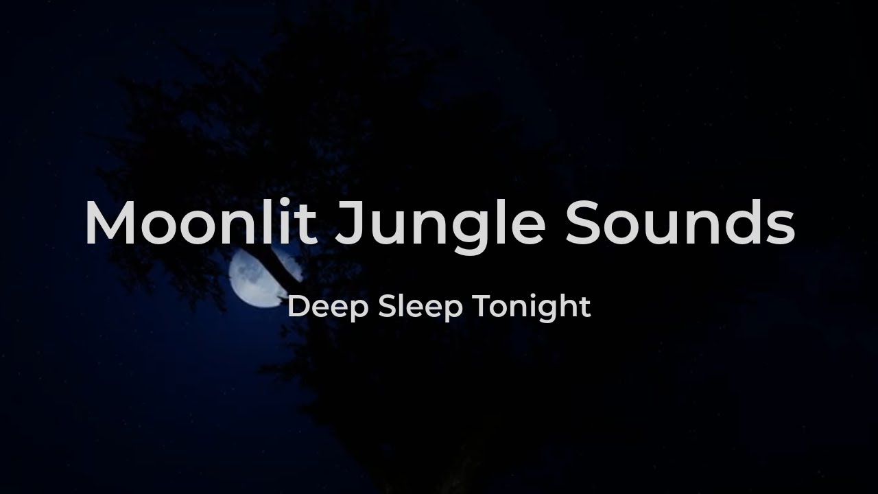 Jungle Under Moonlight to Help You Fall Asleep Fast