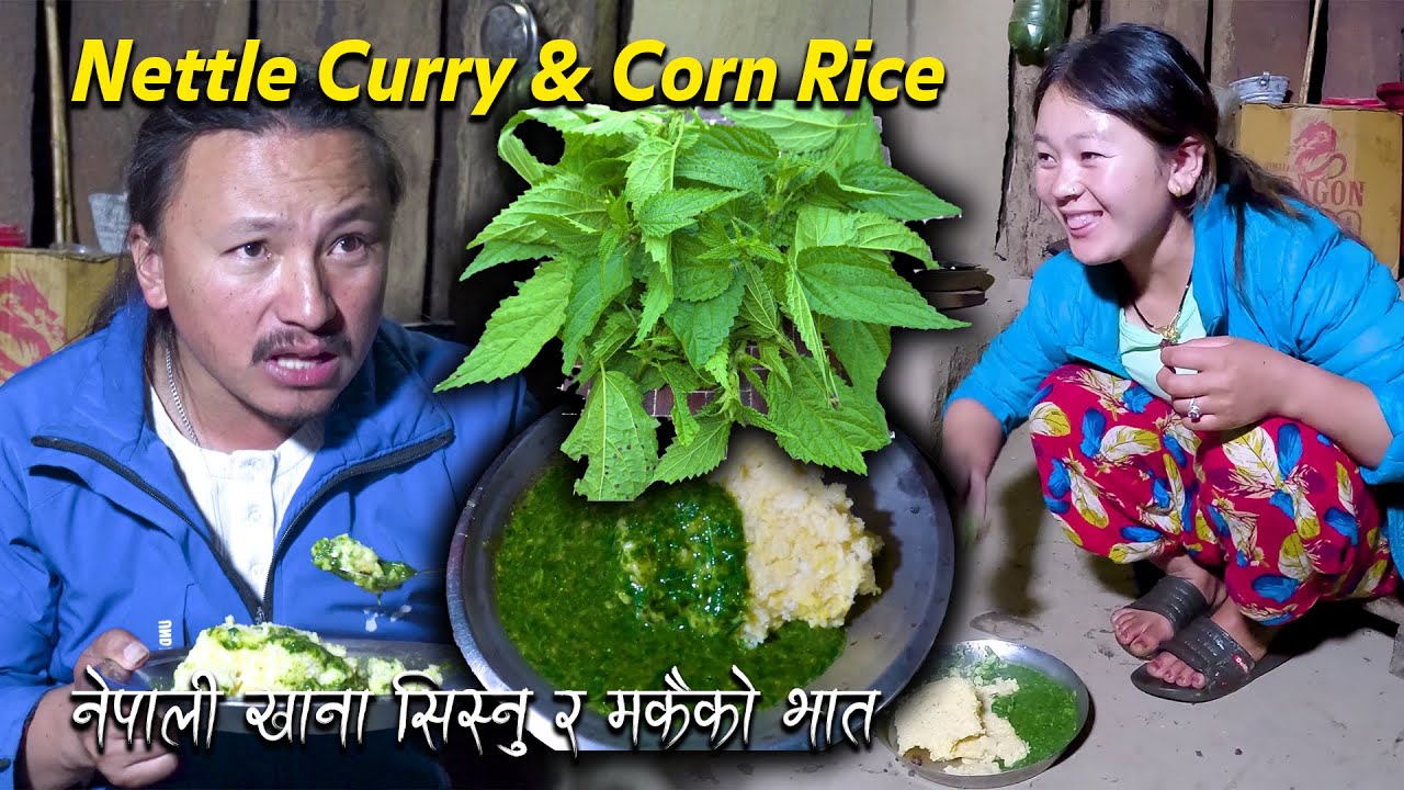 Nepali tasty food Nettle curry with Corn Rice (Sisnu & Thepla) cooking & eating in my village home
