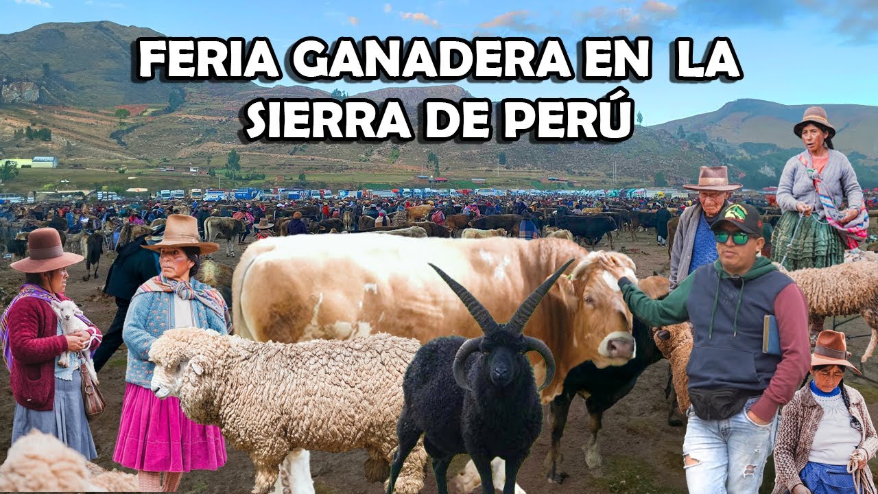ASI ES EL NEGOCIO DE ÁNIMALES EN PERÚ🇵🇪 I  GEO LEMA