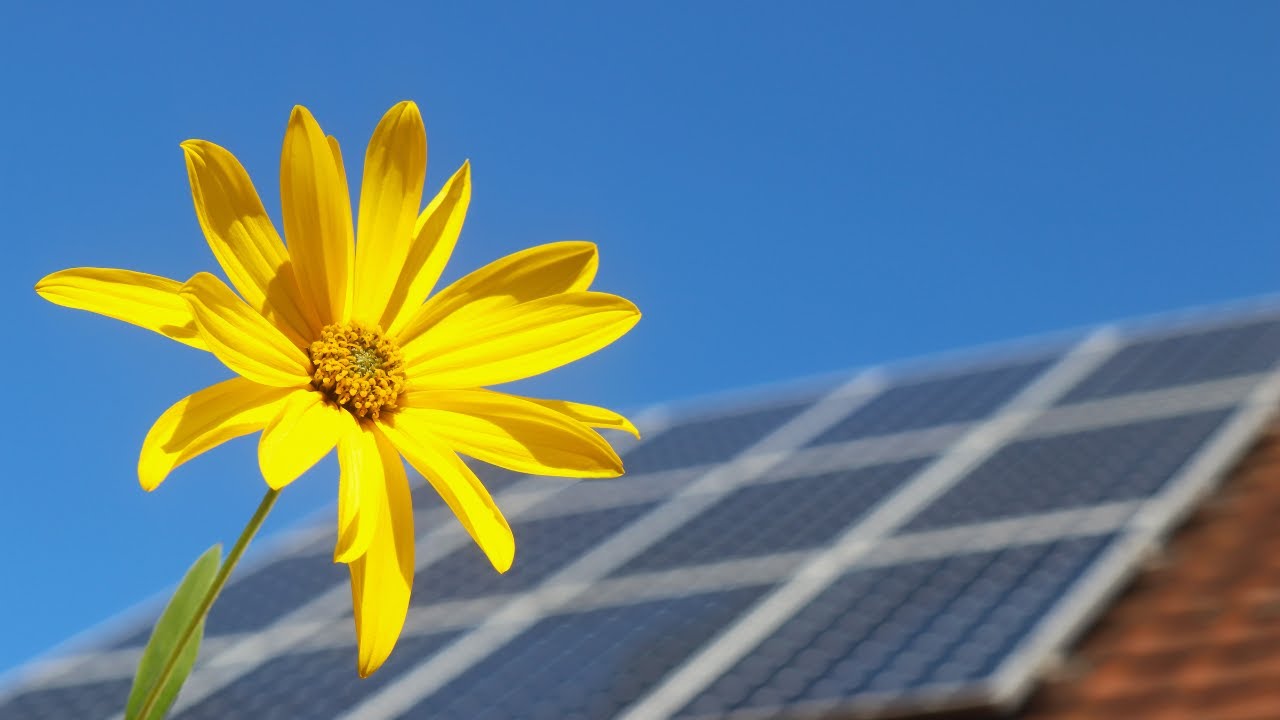 Illuminate Your Garden Nights with SOL-GROW: Solar-Powered Plant Growth Technology