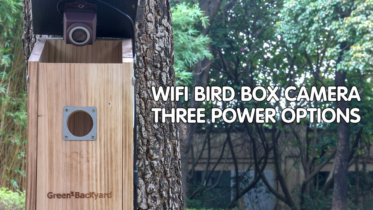 Birdwatching Guide: WiFi Bird Box Camera with Flexible Power Options