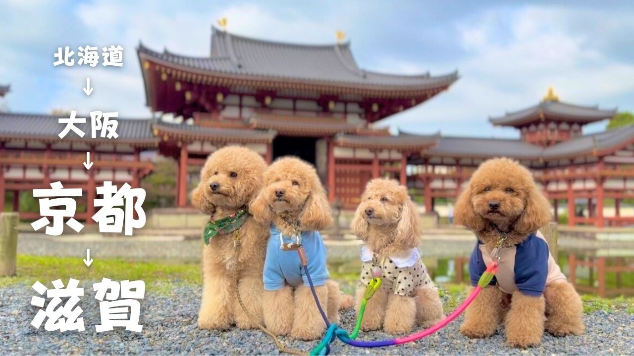 【関西旅行編♯7】いよいよオフ会最終日手前で大移動！