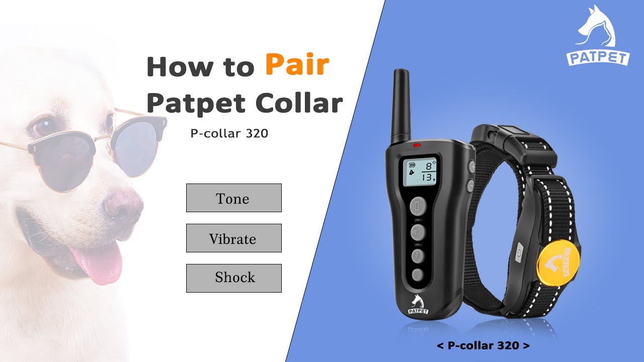 Pair the Dog Training Collar | Patpet 320