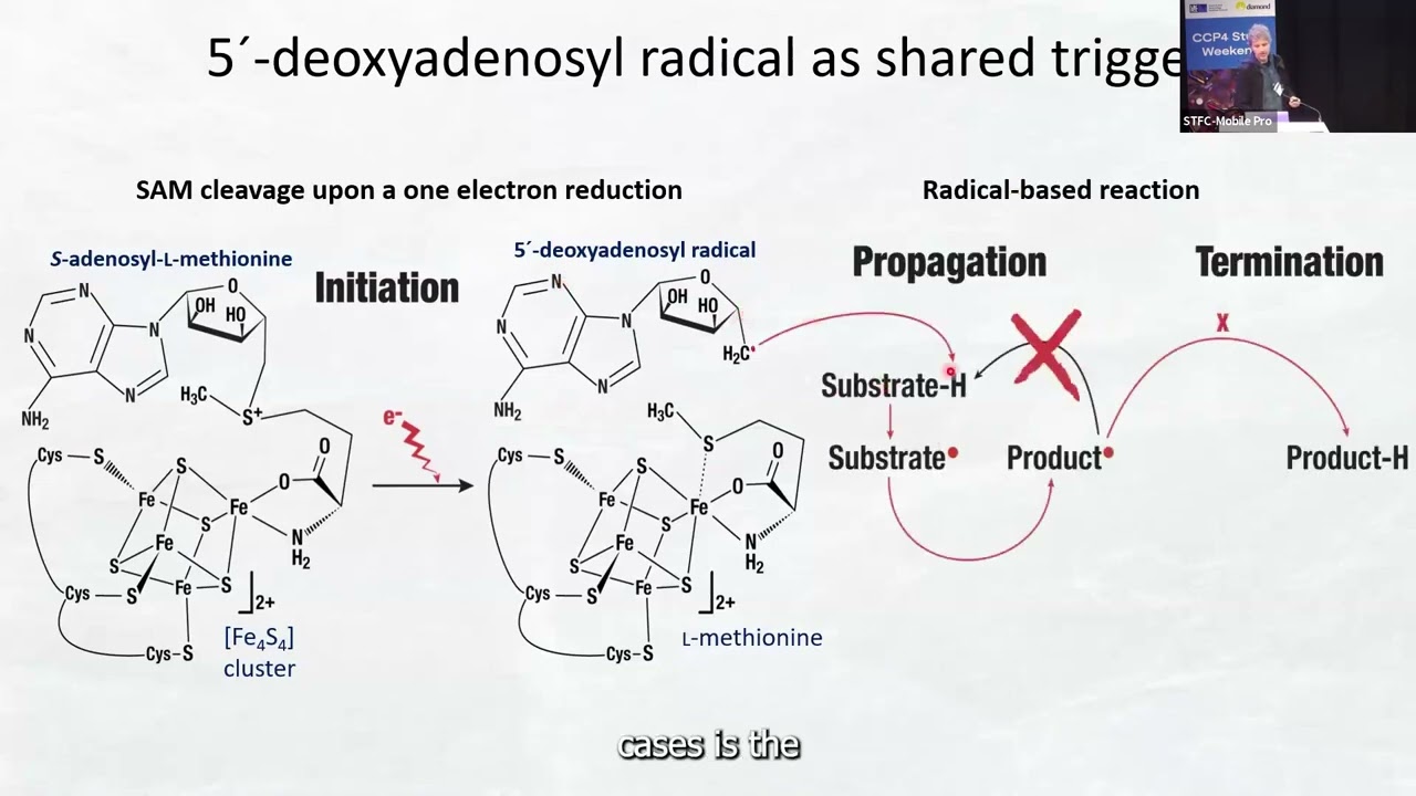 Structure-function relationships of metalloproteins & assembly of their metallocofactors - Y Nicolet