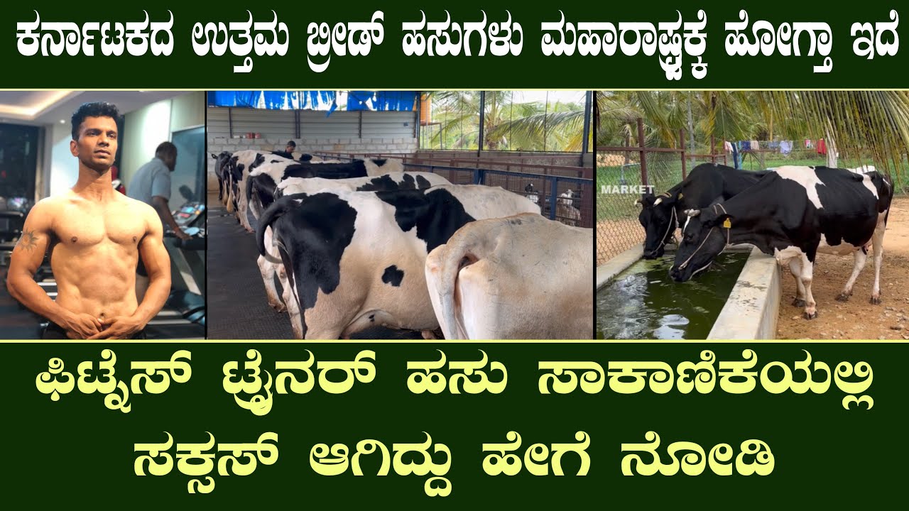 ಫಿಟ್ನೆಸ್ ಟ್ರೈನರ್ ಹಸು ಸಾಕಾಣಿಕೆಯಲ್ಲಿ ಸಕ್ಸಸ್ ಆಗಿದ್ದು ಹೇಗೆ ನೋಡಿ| Dairy farm success story