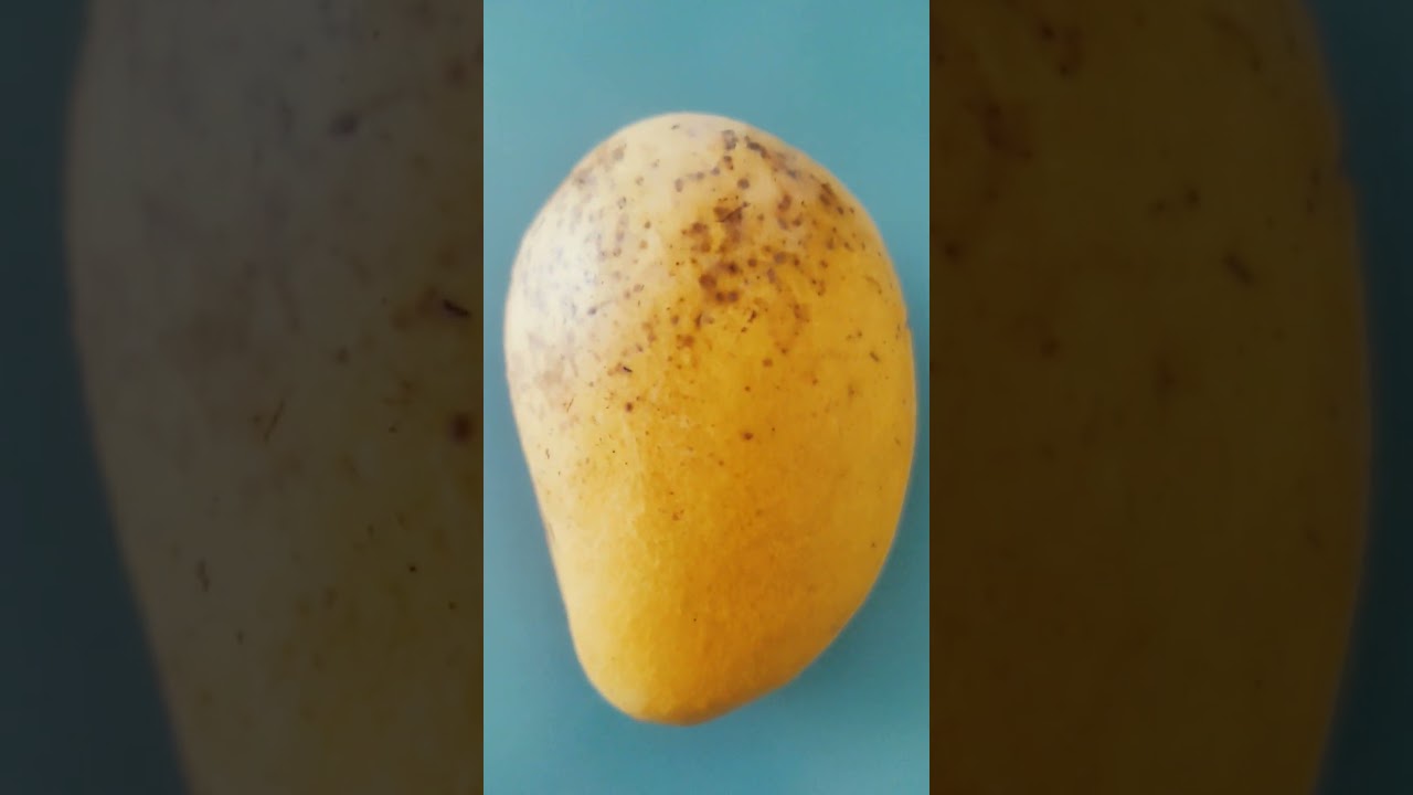 MANGO 🥭#shorts #viral #trending #mybloopers #ofwhongkong