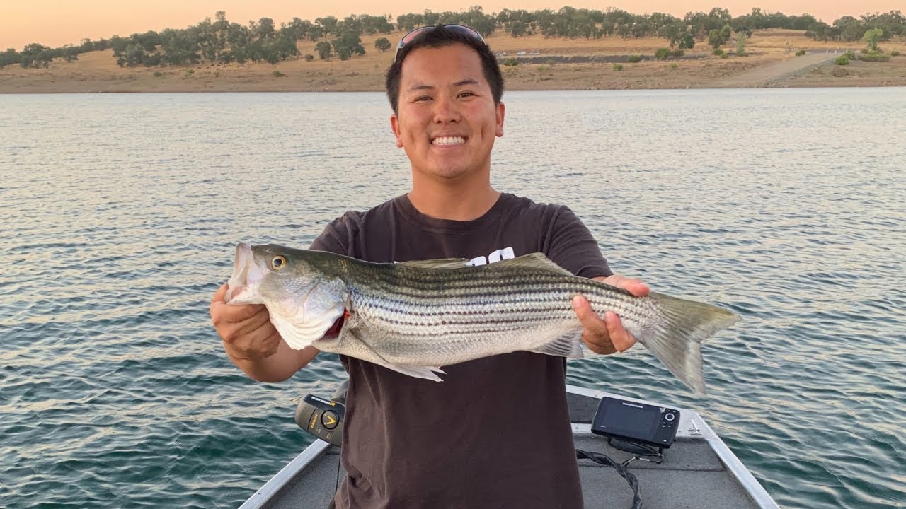 Top 5 Striper Lures of 2021