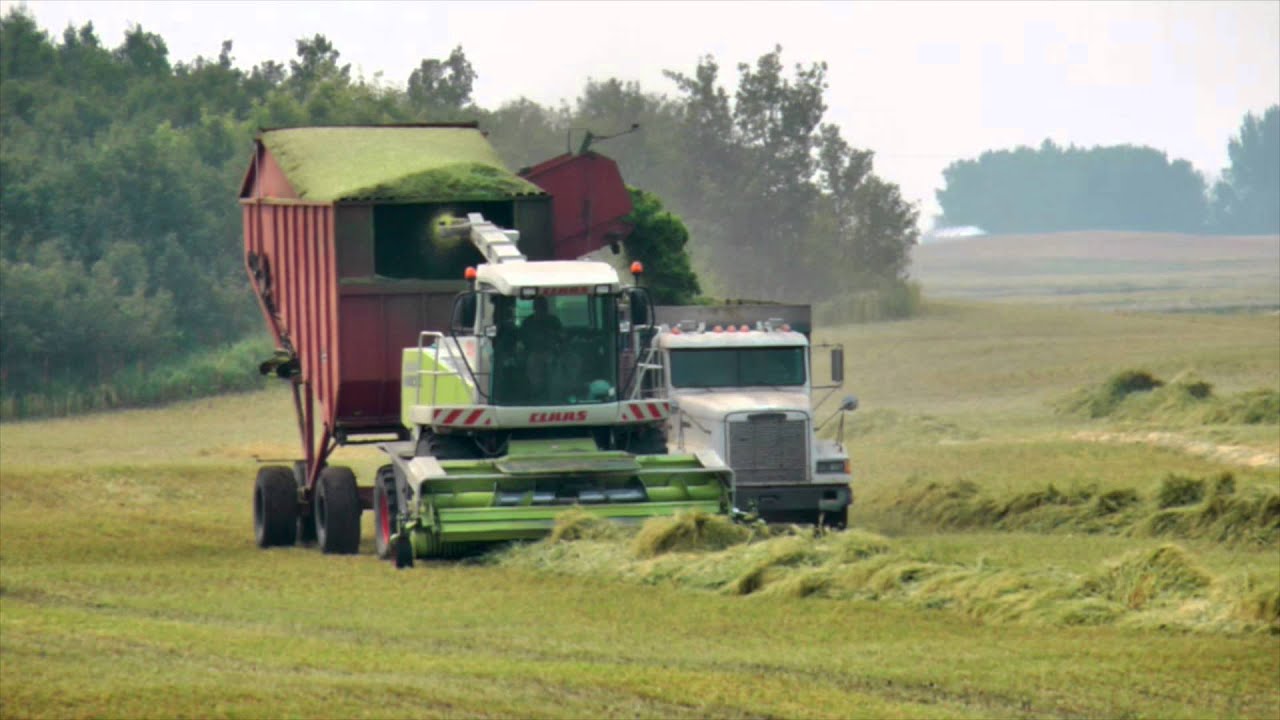 The Best Days 2014 - Dairy Farming in Canada