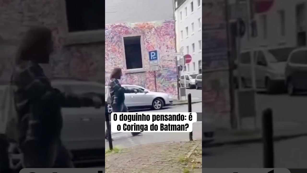 O doguinho pensando: é o Coringa do Batman?