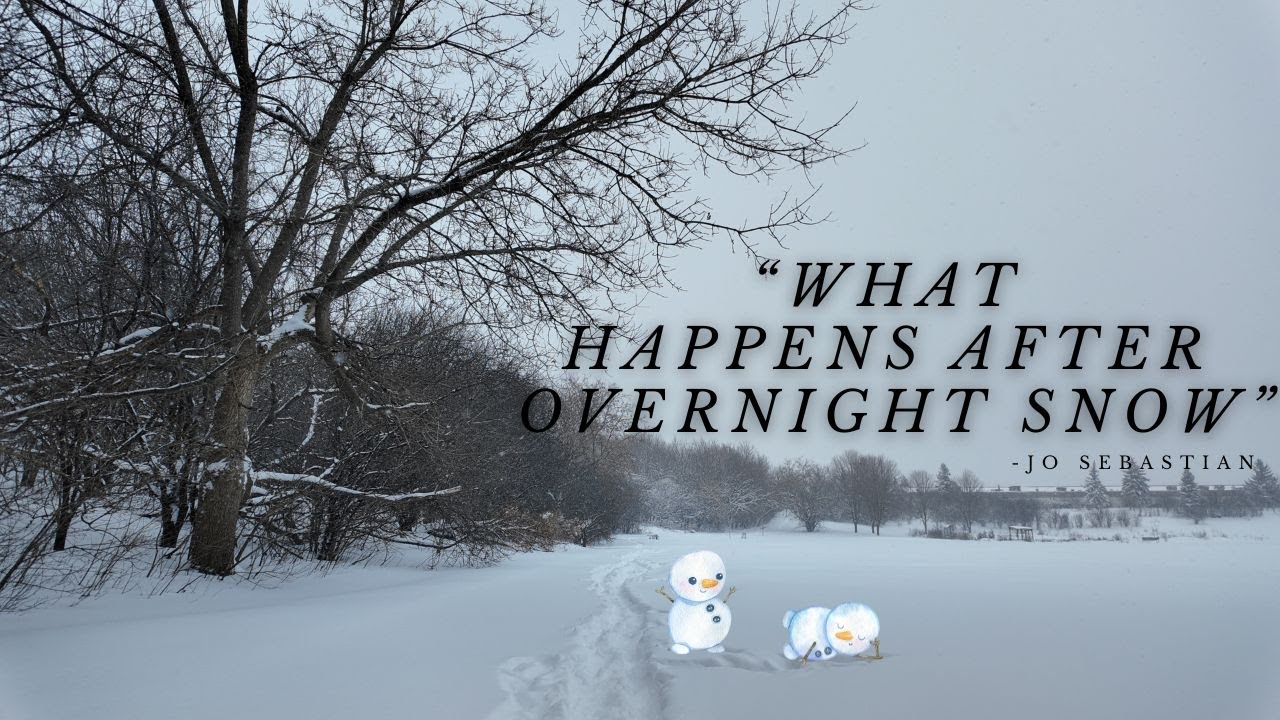 What Happens After Overnight Snow || Canada Vlog #mallu #malluvlog #snow #canada #canadadiaries