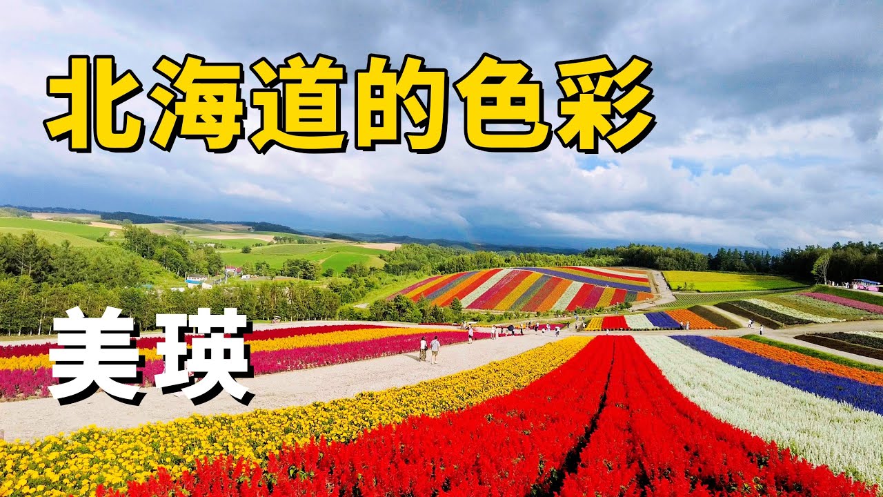 美瑛｜北海道的色彩世界｜超級出片的四季彩之丘｜白金青池 #北海道