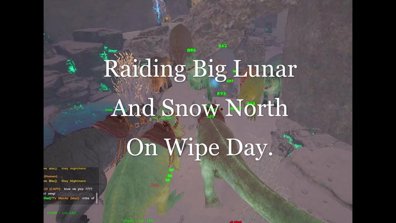 Meat running Big Lunar and Raiding Snow North : Day 1 of Wipe Elite Ark