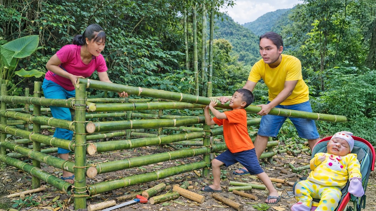 Starting to Build a New Bamboo House for the Mountain Goats - Rural Life | SURVIVAL ALONE