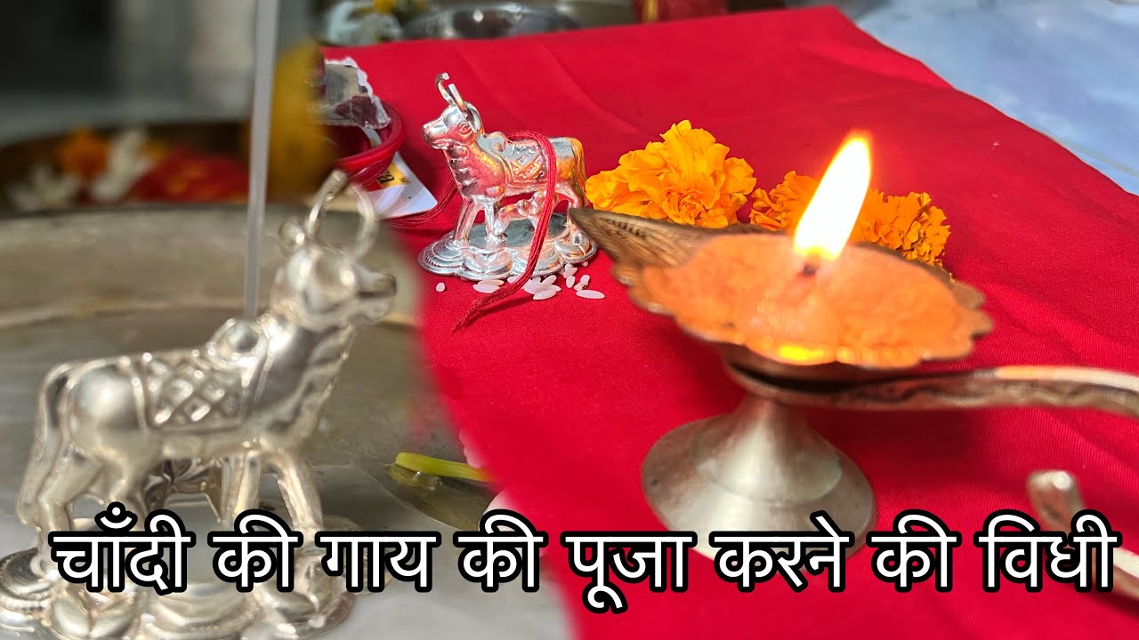 गोपाष्टमी पर घर में गाय की पूजा कैसे करें || gopashtmi Puja Vidhi 2022