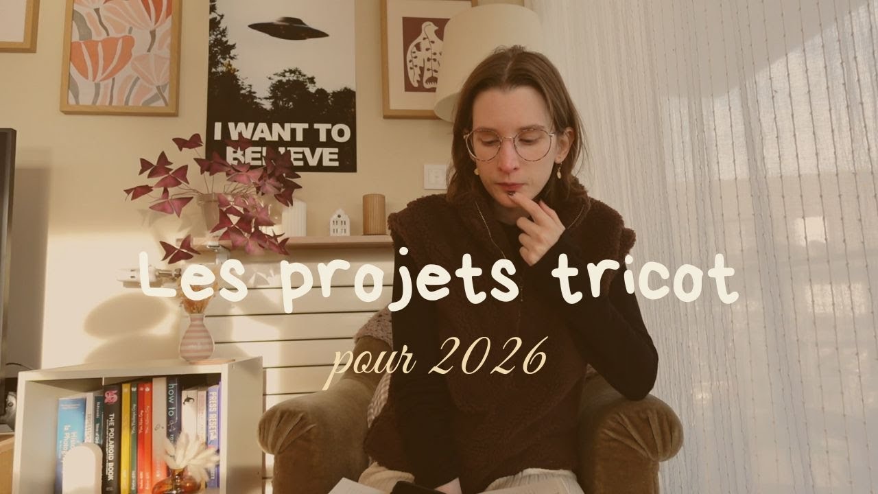 Les projets tricot pour 2026 (la bonne version cette fois....)