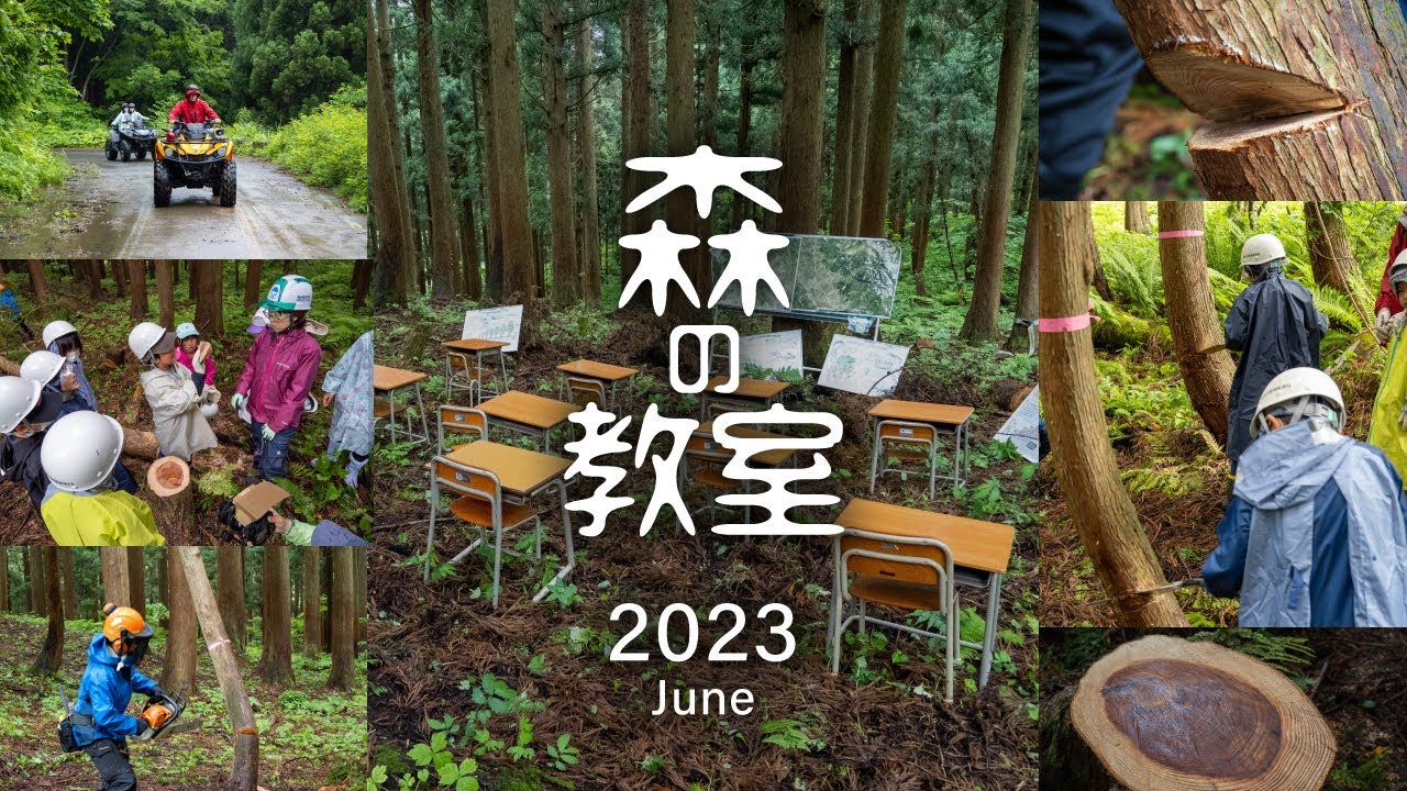 【森の教室 2023】森の授業と木こり体験｜バギーバイク乗車体験｜竹パン作りと森のシチュー＆くんせい｜丸太輪切り工作｜糸魚川市