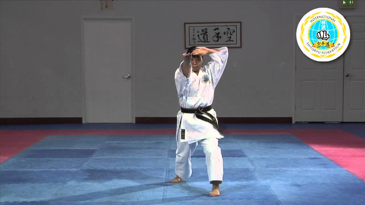 Unshu - International Hayashi-Ha Shito-Ryu