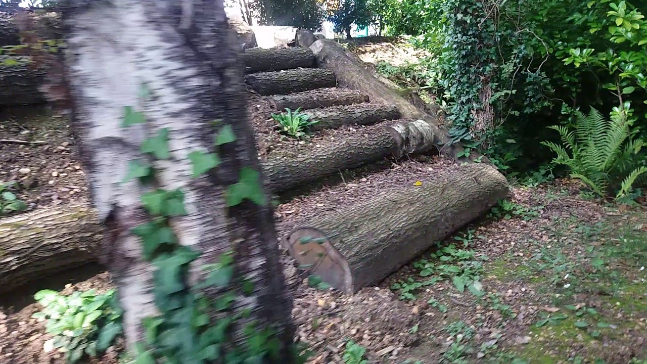 Full Journey on Rio Grand Train at Paultons Park in Ower, Romsey