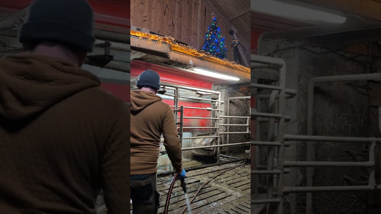 End of Winter on the Farm – Removing the Milking Robot Curtains🐄