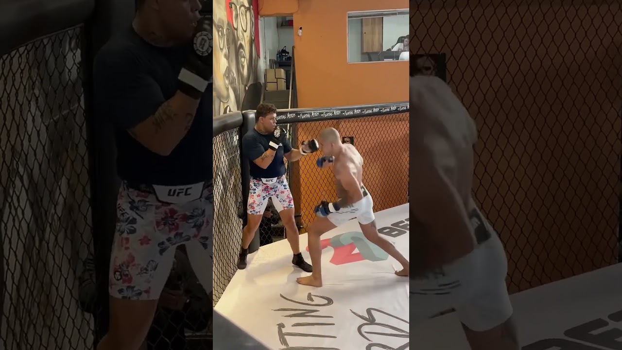 Alex Pereira com MOVIMENTA&Ccedil;&Atilde;O INSANA no sparring com Caio Borralho! 🔥👊