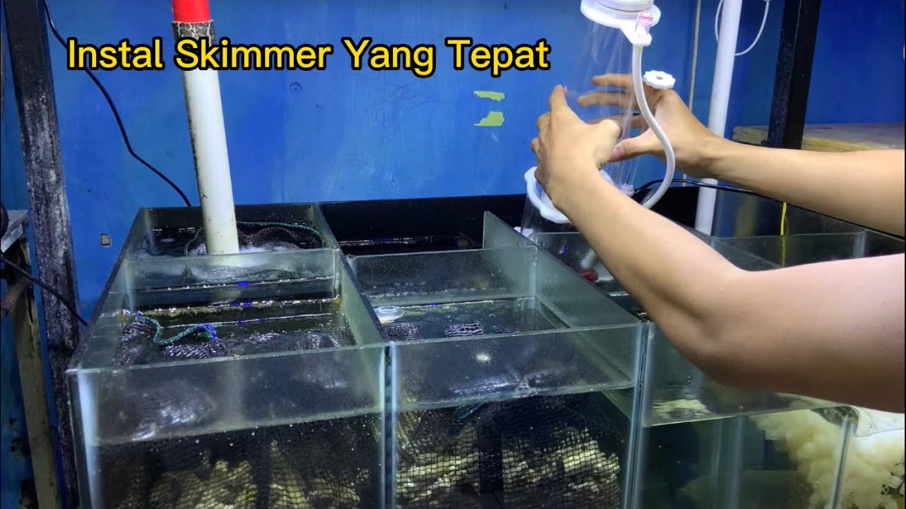 Unboxing Skimmer - Begini Settingan Rasa Skimmer Puluhan Juta Ala Dori Nori