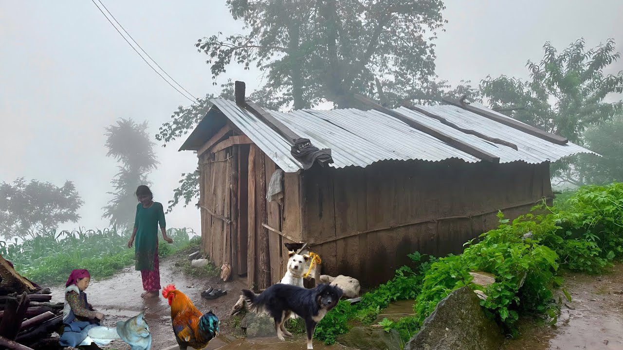 This Is Himalyan Nepali Mountain Village Life Heavy Rainy Day |Naturelly Village Dacumentary Video |