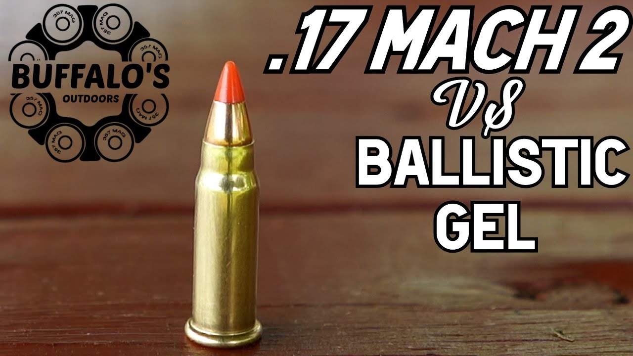 .17 HORNADY MACH 2 ТЕСТ БАЛЛИСТИЧЕСКОГО ГЕЛЯ