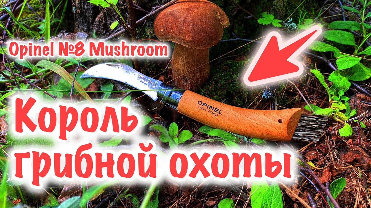 ИДЕАЛЬНЫЙ ГРИБНОЙ НОЖ? Opinel Mushroom №8