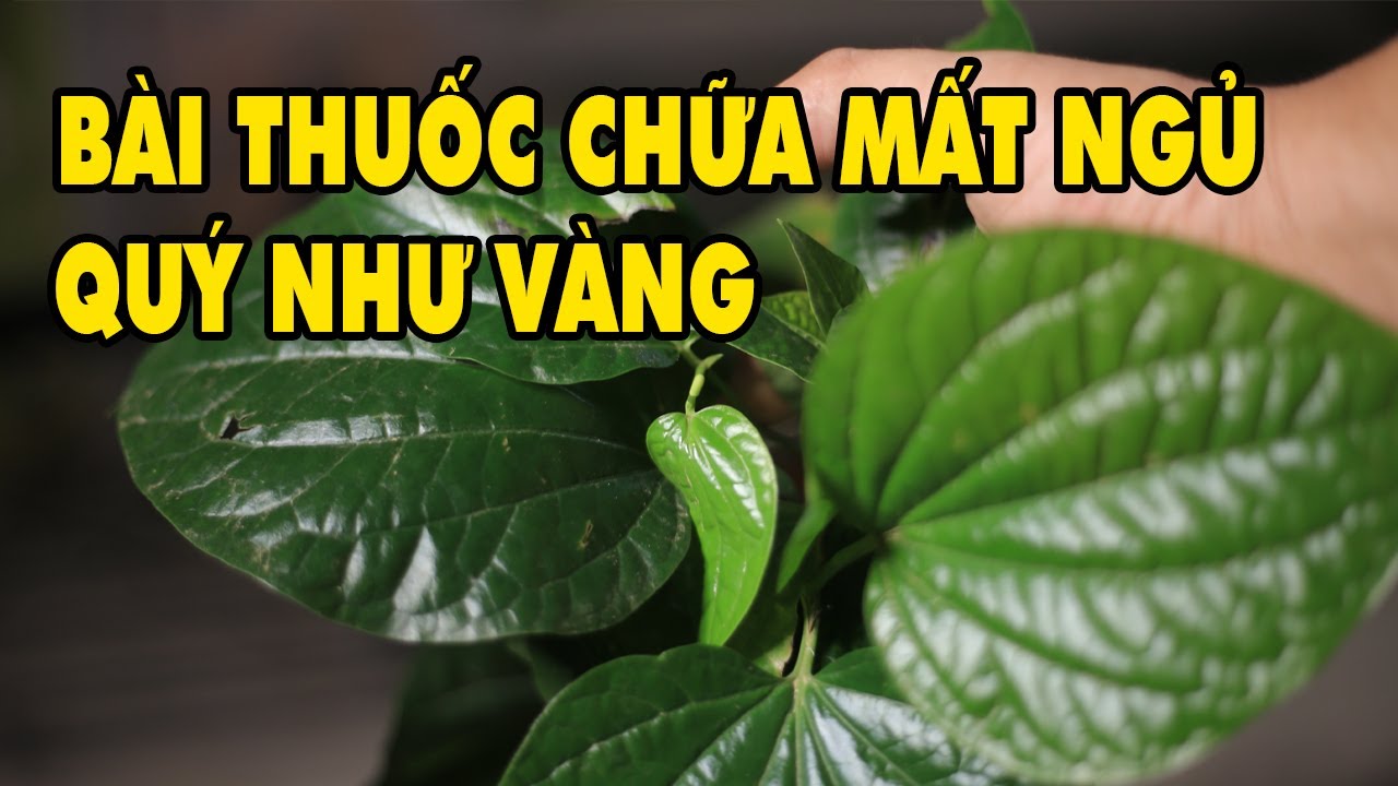 Mừng Như Vớ Được Vàng Khi Biết Được Bài Thuốc Chữa Mất Ngủ Cực Kỳ Đơn Giản Này  | HYT3