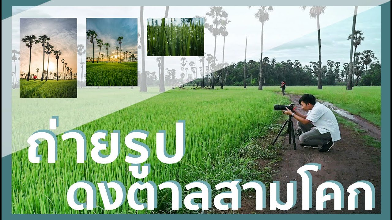 ถ่ายรูป ที่ดงตาลสามโคก