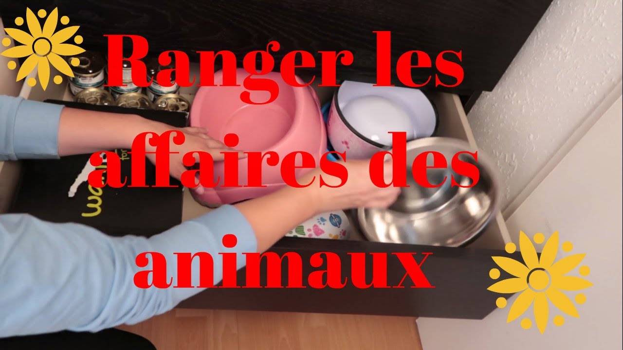 Les rangements des affaires de Mayah et des chats