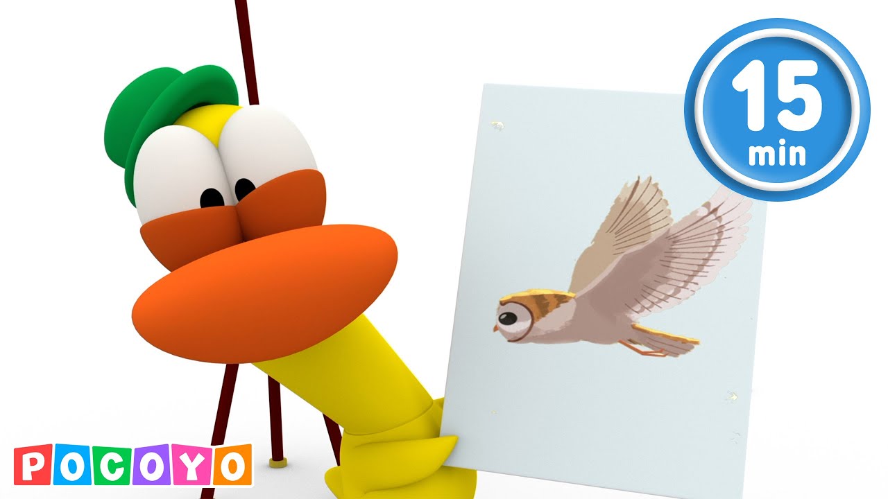 🦉 La petite chouette de Pocoyo ! Oh, comme elle est mignonne ! | Animaj Kids - Chanson pour enfants
