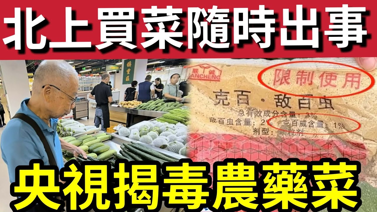 北上買餸貪平出事！央視揭發「毒藥蔬菜」流出市面！明查暗訪「居民也不敢吃！」本港街市「還是有保障！」