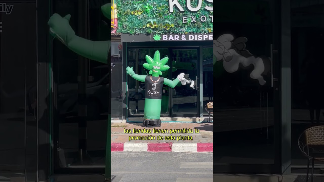 3 curiosidades #420 en Tailandia by @CaliTerpenes