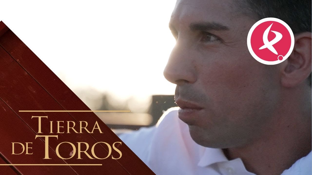 Volver a la cara del toro | Tierra de Toros